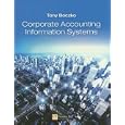 Corporate Accounting Information Systems 