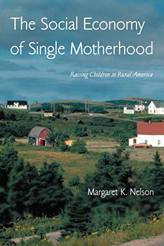 The Social Economy of Single Motherhood: Raising Children in Rural America (Perspectives on Gender)