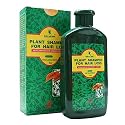 Deity of Hair Plant Shampoo for Hair Loss - Acceleration Hair Growth Formula - 8 Oz (230 Ml) - 1 Bottle