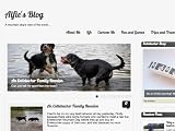 Alfie the Entlebucher Mountain Dog's Blog