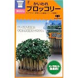 かいわれブロッコリー　数量:50ml
