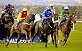 The Best Horse Race Betting Systems Compendium.
