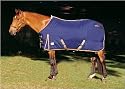 Beval Gladstone Stable Blanket