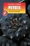 Peyote (Drug Library)
