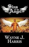 Sins of the angel