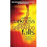 when darkness falls jack swyteck book 6