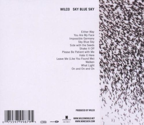 Sky Blue Sky image