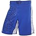 Combat Sports Training MMA Boardshorts