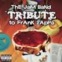 Jam Band Tribute to Frank Zappa