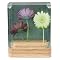 3-D Flowers Coaster Set