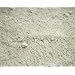 51cmaiiSOZL. AA75  Food Grade Diatomaceous Earth 10lbs + JT Eaton Insecticidle Duster