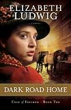 Dark Road Home (Edge of Freedom)