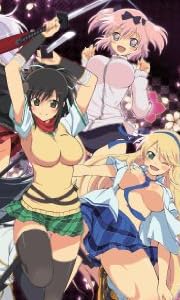 閃乱カグラ 第壱巻 [Blu-ray]