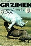 Among animals of Africa