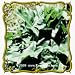 1 Oz Arrow Arum (Peltandra virginica) Bulk Wildflower Seeds