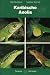 Karibische Anolis en Libros del nombre: 51cnBG0gqyL._SL75_