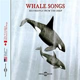 Killer Whale 2