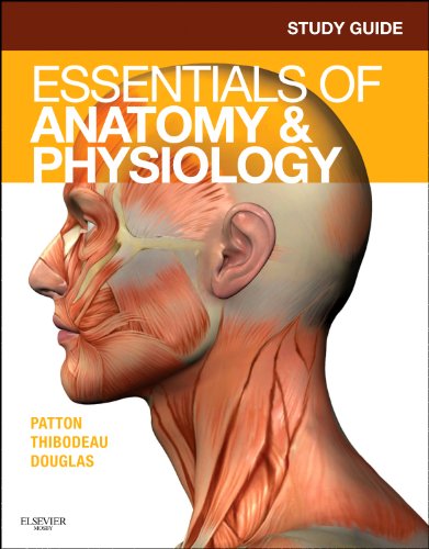 study guide for essentials of anatomy  physiology 1e
