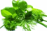 Grow Your Own Herb Garden