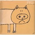 PYG!(���W���P�b�g�d�l)