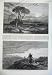 1869 Fine Art 1869 View Coast Porto D'Anzio Rome Hills