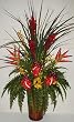 45" GIANT Tropical Torch Ginger & Antherium