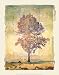 Autumn Tree Study #1 by Donald Farnsworth 15.5 x 20.75  Canvas Art