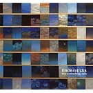 The Something Rain [+Digital Booklet]