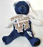 Dallas Cowboys vs Miami Dolphins RARE Offical NFL Super Bowl VI(6) Collectable Plush Bear