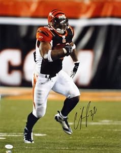 Cedric Benson Autographed Picture - 16x20 - JSA Certified - Autographed NFL Photos