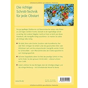 So schneide ich meine Obstgehölze: Obstbäume & Beerensträucher
