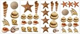 RoomMates RMK1259SCS Shells Peel & Stick Appliques RoomMates RMK1259SCS Shells Peel & Stick Appliques