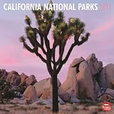 California National Parks 2011 Square 12X12 Wall