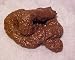Party Gag Gift Prank College Humor Fake Dog Crap Poop Pile