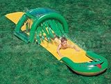  : Outdoor Inflatable Octopus Water Slide