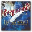 Repair Your Broken Wings by Rodney White 36"x36" Art Print Poster