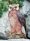 Outdoor Living : Barn Owl Garden Sculpture / Ornament