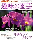 NHK 趣味の園芸 2009年 01月号 [雑誌]