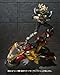 SIC Kiwami Tamashi Masked Rider Agito Machine Tornador