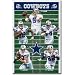 Dallas Cowboys Team Field Sports Poster Print - 22x34