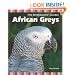 African Greys (The Birdkeepers' Guides)