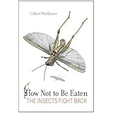 how not to be eaten the insects fight back