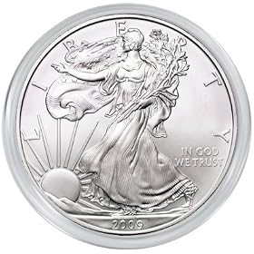 2009 Silver Eagle in Airtight
