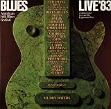 picture of American Folk Blues Festi