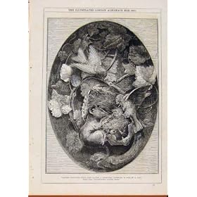 Linottes de Londres Almanack D�fendant Leurs Oiseaux 1864 de Nid