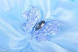 ReliBeauty Girls Butterfly Embroidery Princess Cinderella Costume (7, Light Blue)