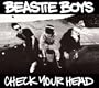 Check Your Head (2 LPs) [Vinyl]