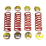 1995-2002 Land Rover Discovery 4 Wheel Air Suspension Conversion Kit (4.0 SE, 4.6... by Strutmasters