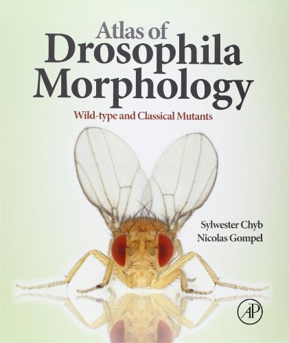 atlas of drosophila morphology wild type and classical mutants