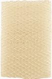 Holmes HWF60CS Wick Filter, 1 per package